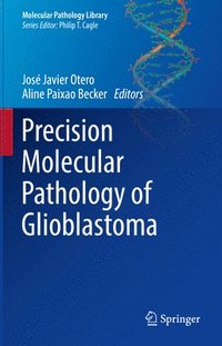 bokomslag Precision Molecular Pathology of Glioblastoma