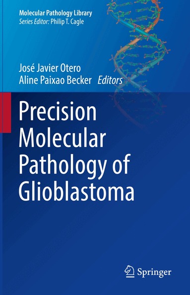 José Javier Otero, Aline Paixao Becker - Precision Molecular Pathology of Glioblastoma, Inbunden