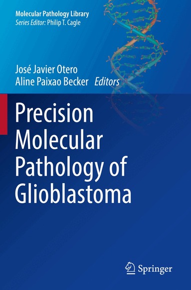 José Javier Otero, Aline Paixao Becker - Precision Molecular Pathology of Glioblastoma, Häftad