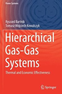 bokomslag Hierarchical Gas-Gas Systems