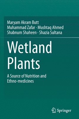 Wetland Plants 1