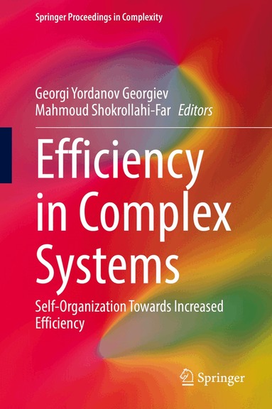 Georgi Yordanov Georgiev, Mahmoud Shokrollahi-Far - Efficiency in Complex Systems, Inbunden