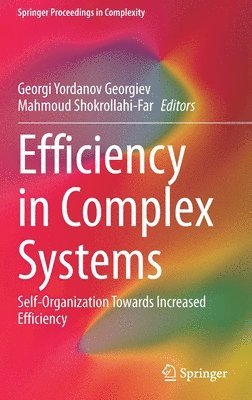 bokomslag Efficiency in Complex Systems