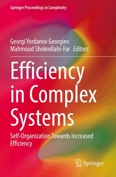 Georgi Yordanov Georgiev, Mahmoud Shokrollahi-Far - Efficiency in Complex Systems, Häftad