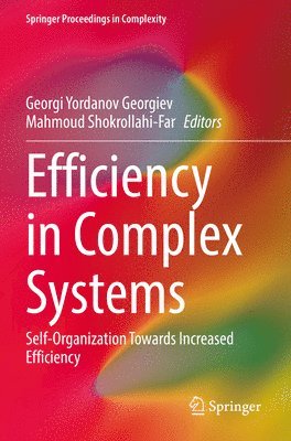 bokomslag Efficiency in Complex Systems