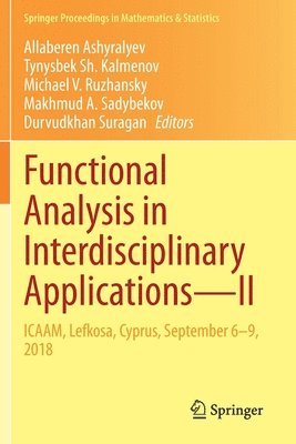 bokomslag Functional Analysis in Interdisciplinary ApplicationsII