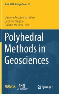 bokomslag Polyhedral Methods in Geosciences