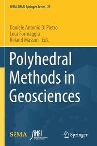 bokomslag Polyhedral Methods in Geosciences