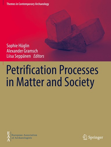 Sophie Hüglin, Alexander Gramsch, Liisa Seppänen - Petrification Processes in Matter and Society, Häftad