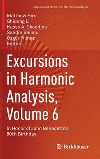 bokomslag Excursions in Harmonic Analysis, Volume 6