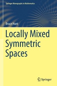 bokomslag Locally Mixed Symmetric Spaces