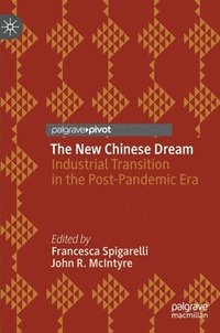 bokomslag The New Chinese Dream