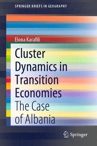 bokomslag Cluster Dynamics in Transition Economies