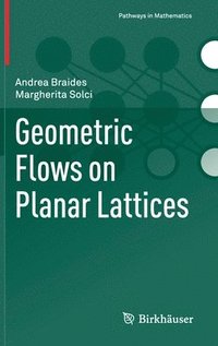 bokomslag Geometric Flows on Planar Lattices
