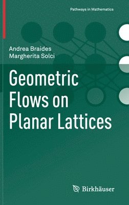 Geometric Flows on Planar Lattices 1