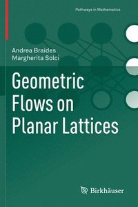 bokomslag Geometric Flows on Planar Lattices