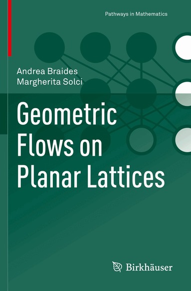Andrea Braides, Margherita Solci - Geometric Flows on Planar Lattices, Häftad