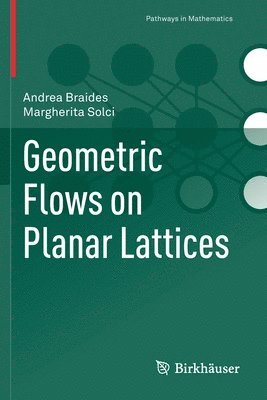 Geometric Flows on Planar Lattices 1