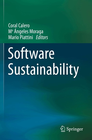 Coral Calero, Mª Ángeles Moraga, Mario Piattini - Software Sustainability, Häftad