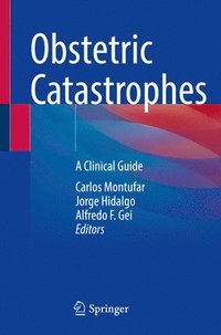 bokomslag Obstetric Catastrophes