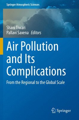 bokomslag Air Pollution and Its Complications