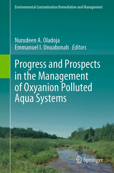 Nurudeen A. Oladoja, Emmanuel I. Unuabonah - Progress and Prospects in the Management of Oxyanion Polluted Aqua Systems, Inbunden