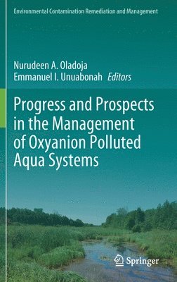 Nurudeen A. Oladoja, Emmanuel I. Unuabonah - Progress and Prospects in the Management of Oxyanion Polluted Aqua Systems, Inbunden