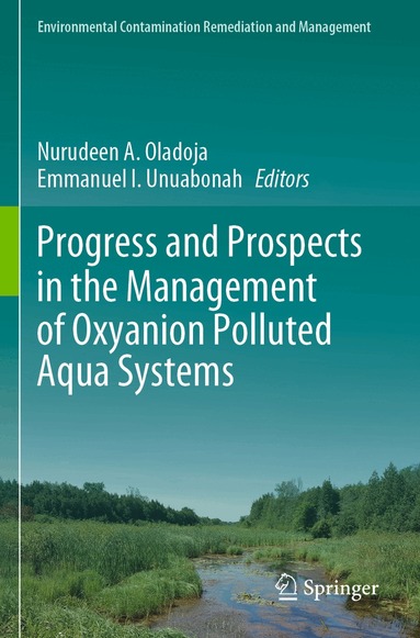 Nurudeen A. Oladoja, Emmanuel I. Unuabonah - Progress and Prospects in the Management of Oxyanion Polluted Aqua Systems, Häftad