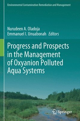 Nurudeen A. Oladoja, Emmanuel I. Unuabonah - Progress and Prospects in the Management of Oxyanion Polluted Aqua Systems, Häftad