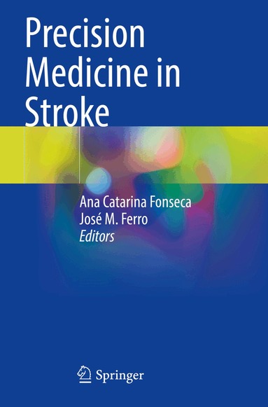 Ana Catarina Fonseca, José M. Ferro - Precision Medicine in Stroke, Häftad
