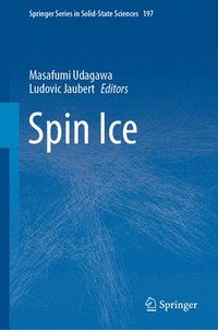 bokomslag Spin Ice