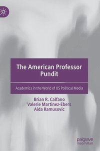 bokomslag The American Professor Pundit