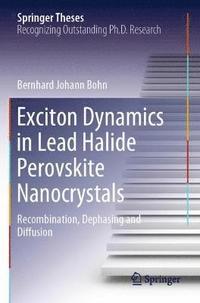 bokomslag Exciton Dynamics in Lead Halide Perovskite Nanocrystals