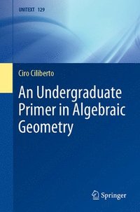 bokomslag An Undergraduate Primer in Algebraic Geometry