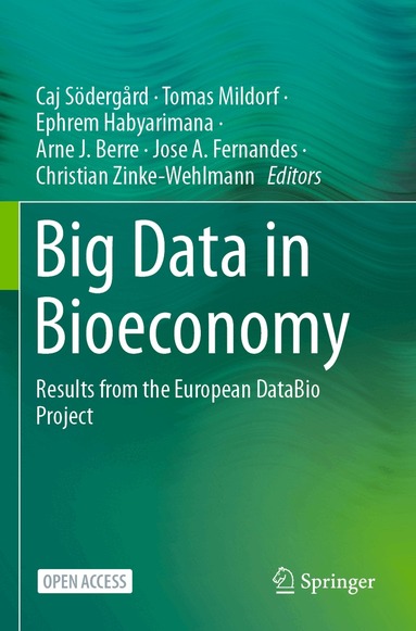 Caj Södergård, Tomas Mildorf, Ephrem Habyarimana, Arne J. Berre, Jose A. Fernandes, Christian Zinke-Wehlmann - Big Data in Bioeconomy, Häftad