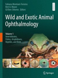bokomslag Wild and Exotic Animal Ophthalmology
