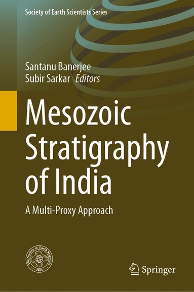 bokomslag Mesozoic Stratigraphy of India