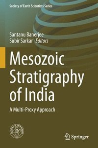 bokomslag Mesozoic Stratigraphy of India