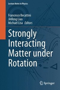 bokomslag Strongly Interacting Matter under Rotation