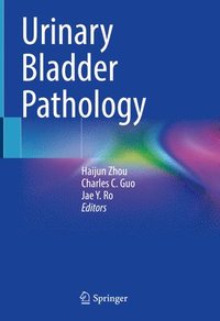 bokomslag Urinary Bladder Pathology