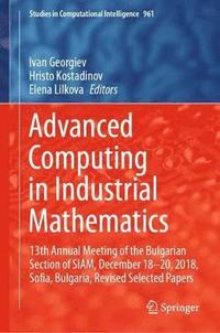 bokomslag Advanced Computing in Industrial Mathematics