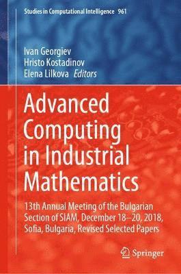 bokomslag Advanced Computing in Industrial Mathematics