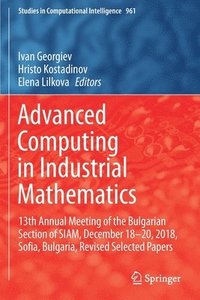 bokomslag Advanced Computing in Industrial Mathematics