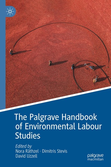 Nora Räthzel, Dimitris Stevis, David Uzzell - Palgrave Handbook of Environmental Labour Studies, Inbunden