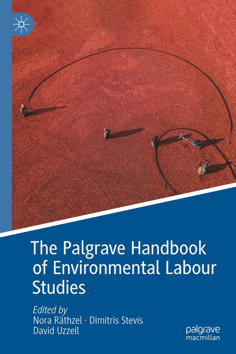 Nora Räthzel, Dimitris Stevis, David Uzzell, Nora Rathzel - Palgrave Handbook of Environmental Labour Studies, Inbunden