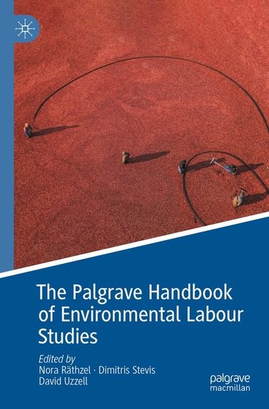 Nora Räthzel, Dimitris Stevis, David Uzzell - Palgrave Handbook of Environmental Labour Studies, Häftad