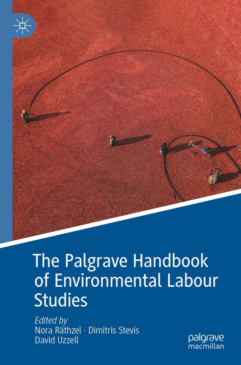 Nora Räthzel, Dimitris Stevis, David Uzzell, Nora Rathzel - Palgrave Handbook of Environmental Labour Studies, Häftad