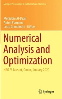 bokomslag Numerical Analysis and Optimization