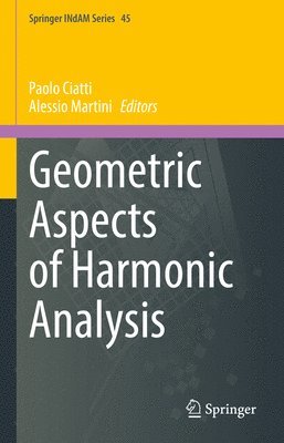 bokomslag Geometric Aspects of Harmonic Analysis