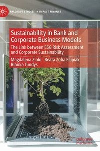 bokomslag Sustainability in Bank and Corporate Business Models